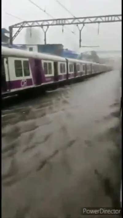 Bitch, i am a boat
