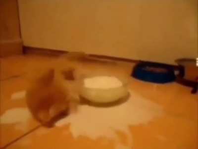 Seems a little hungry