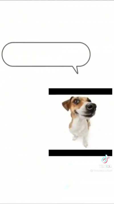 Cachorro Narigudo.mop 870