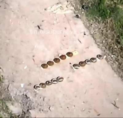 A Ukrainian reconnaissance drone witnessed how another Ukrainian drone had been utilized for detonating multiple Russian landmines on the ground.