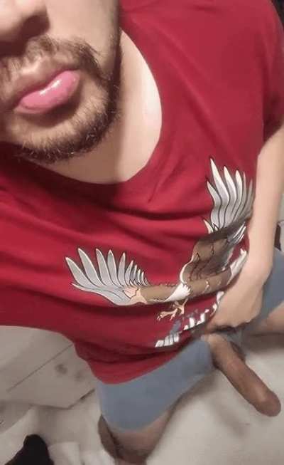 [31] Viet dick