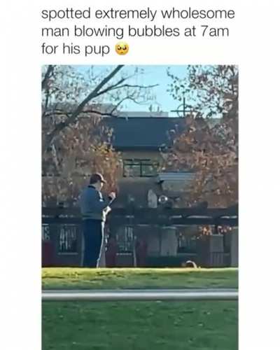 Wholesome...!