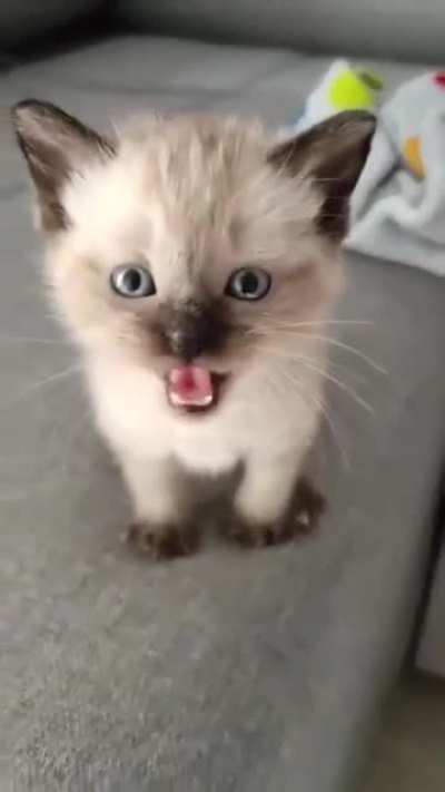 Loveeeee me!