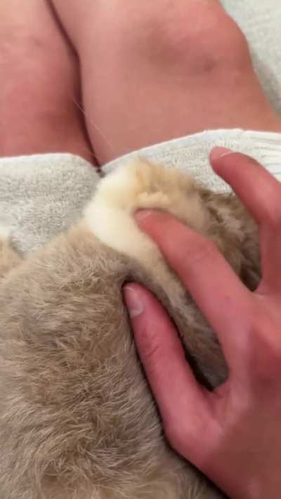 Massageding