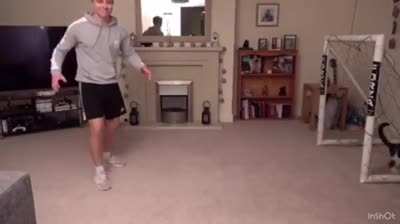 That cat has cat-like reflexes!