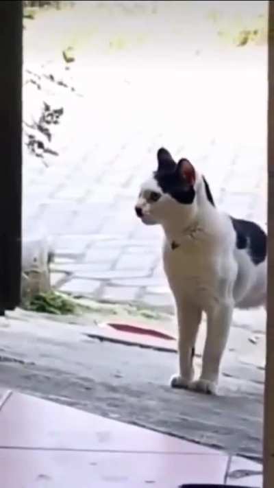 De nuevo?