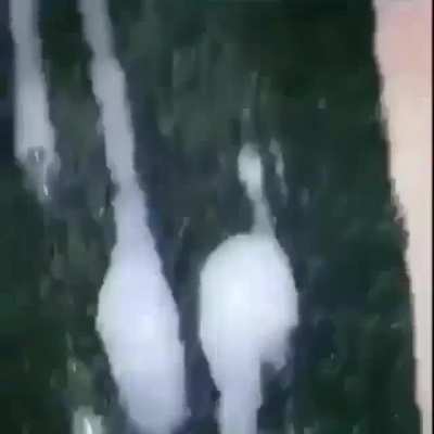 😏😏
