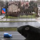 How to not go insane during a quarantine