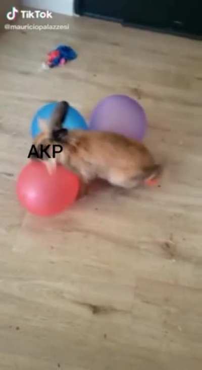 Hedef 2023