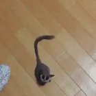 My planet needs me