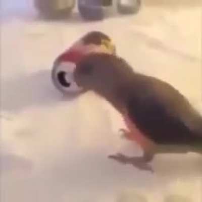 Loro Truco?