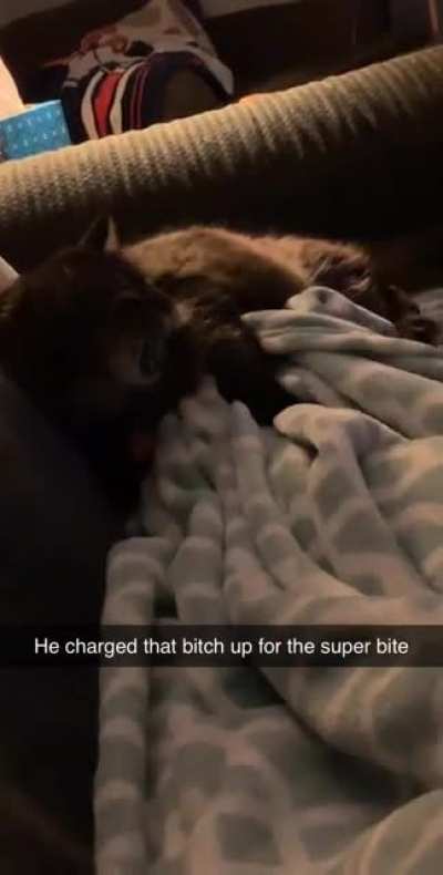 Ah the super bite