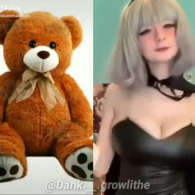 Mira el oso