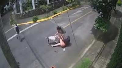 This guy has the right idea .. WTF is the problem of this pitbull.. SO sad for this lady