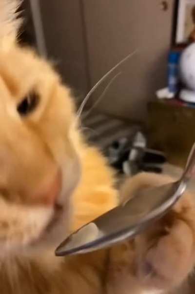 Meowwwaaaaahhhhuu!!