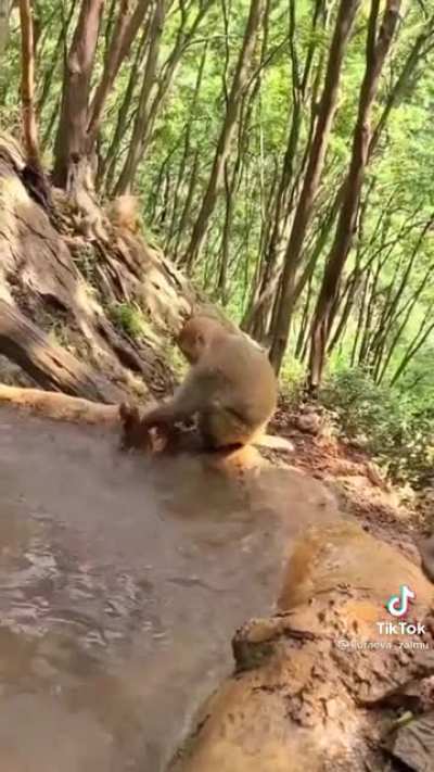 To wash baby