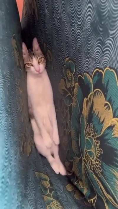 Creature of the crevice