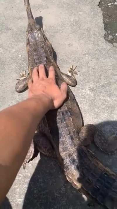 deserved