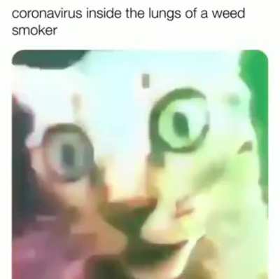 They be vibing