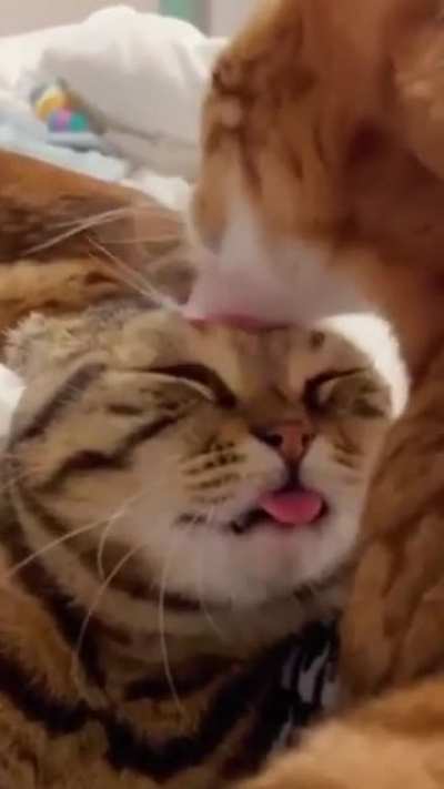 wake the f up samurai!