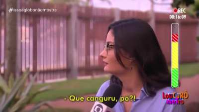 Canguru