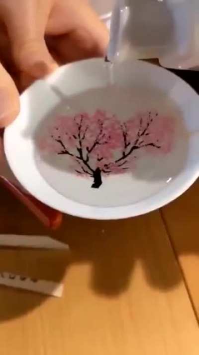 La sorpresa
