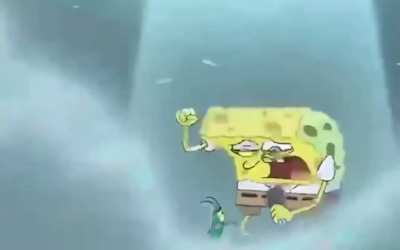 🧽