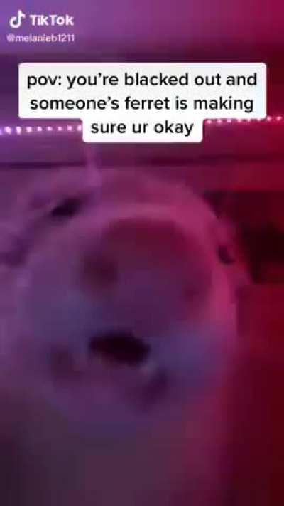 Nice wunkioso