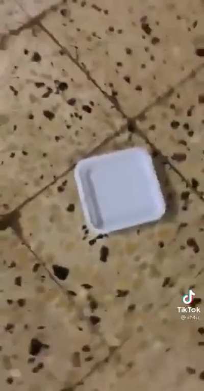 وارر