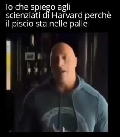 Vero
