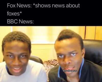 BBC news moving mad