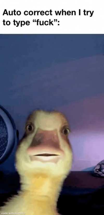It makes me seem like I love ducks (which I do)