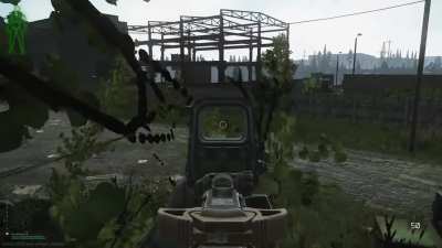 THEY’RE IN THE TREES