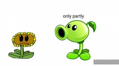 only partly