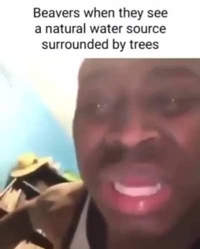 bruh