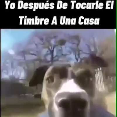 XD