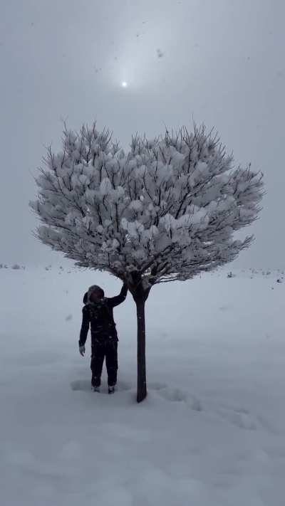 🔥 The beauty of winter ❄️