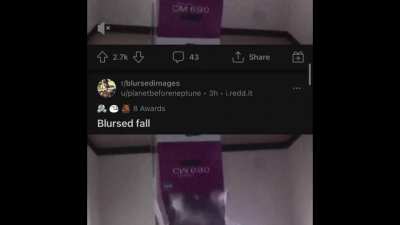 Catportal