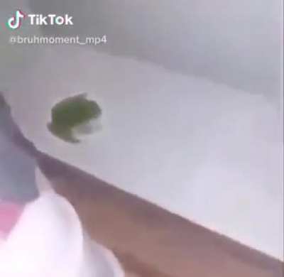 grenouille