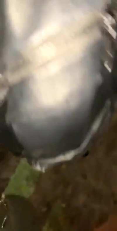 My goon buds love how horny I get after a few drinks