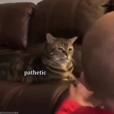 Judgement day