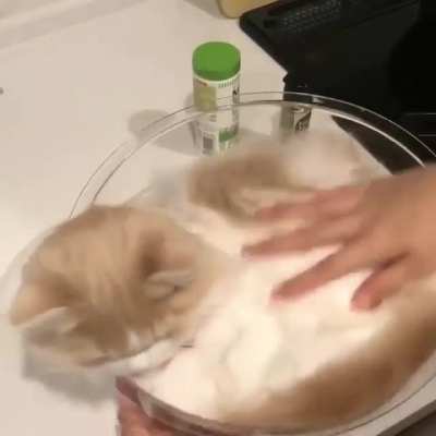 A cute dough