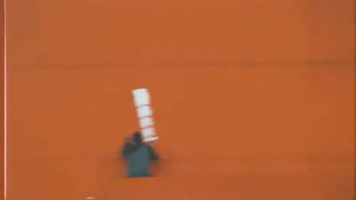On the eve of Black Consciousness, in Porto Alegre, Brazil, two security guards at a Carrefour store, beat to death JoãoAlberto, a 40-yo black man. People took to the streets to express their legitimate rage. Video: @Antimdia