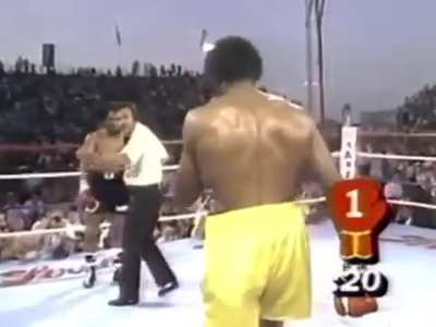 When these two legends stepped into the ring to face one another, I don’t think no one expected such a one sided total domination destruction by Hearns. What was also awesome was seeing Hearns extend his glove to Duran at the end of the first round to tou