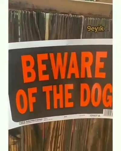 That dog was scary AF