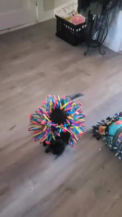 Mistakes were made