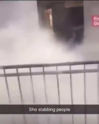 Woman in wheelchair stabbing people
