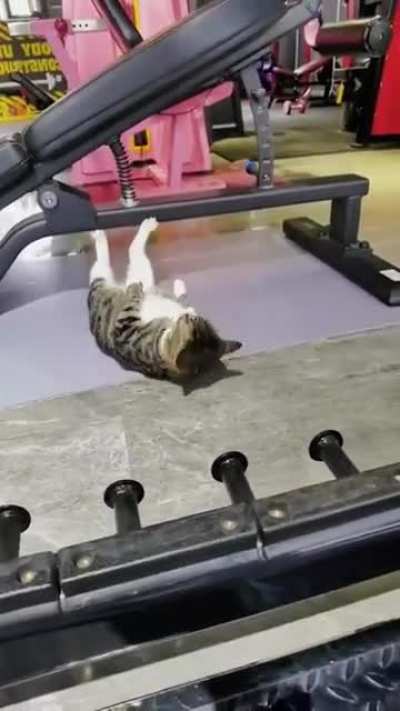 Getting fit!