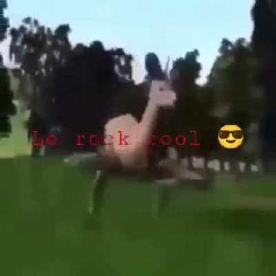 MOLDY Meme i made