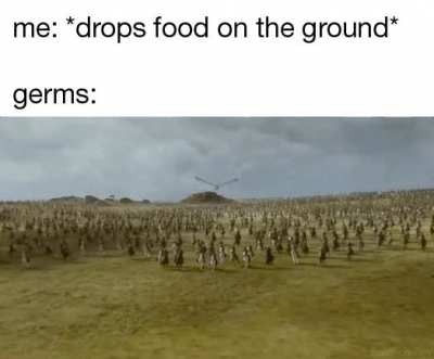rules are rules